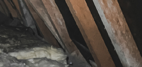 miniature-isolation-3 Isolation